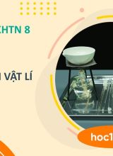 Sự biến đổi vật lí - KHTN 8  -  Hoc10